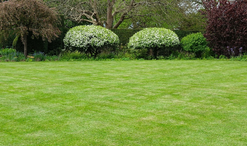 Lawn Care